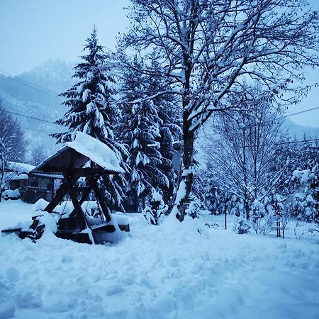 Cabana Valea Rea, Boga Boga  외부 사진