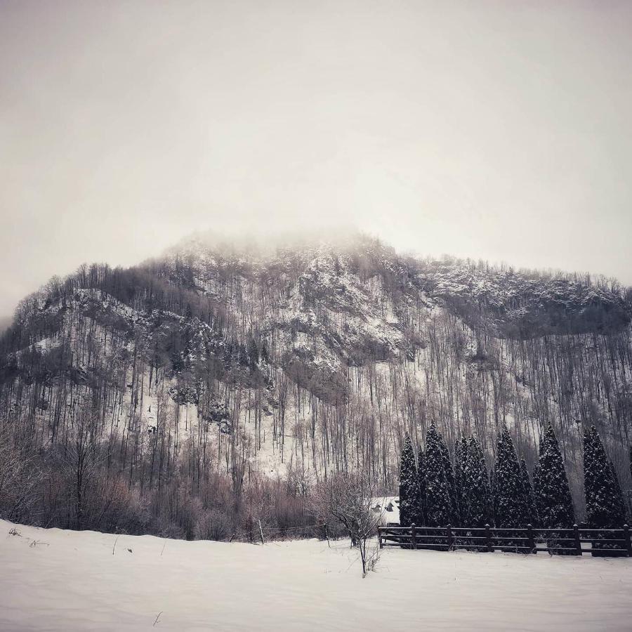 Cabana Valea Rea, Boga Boga  외부 사진