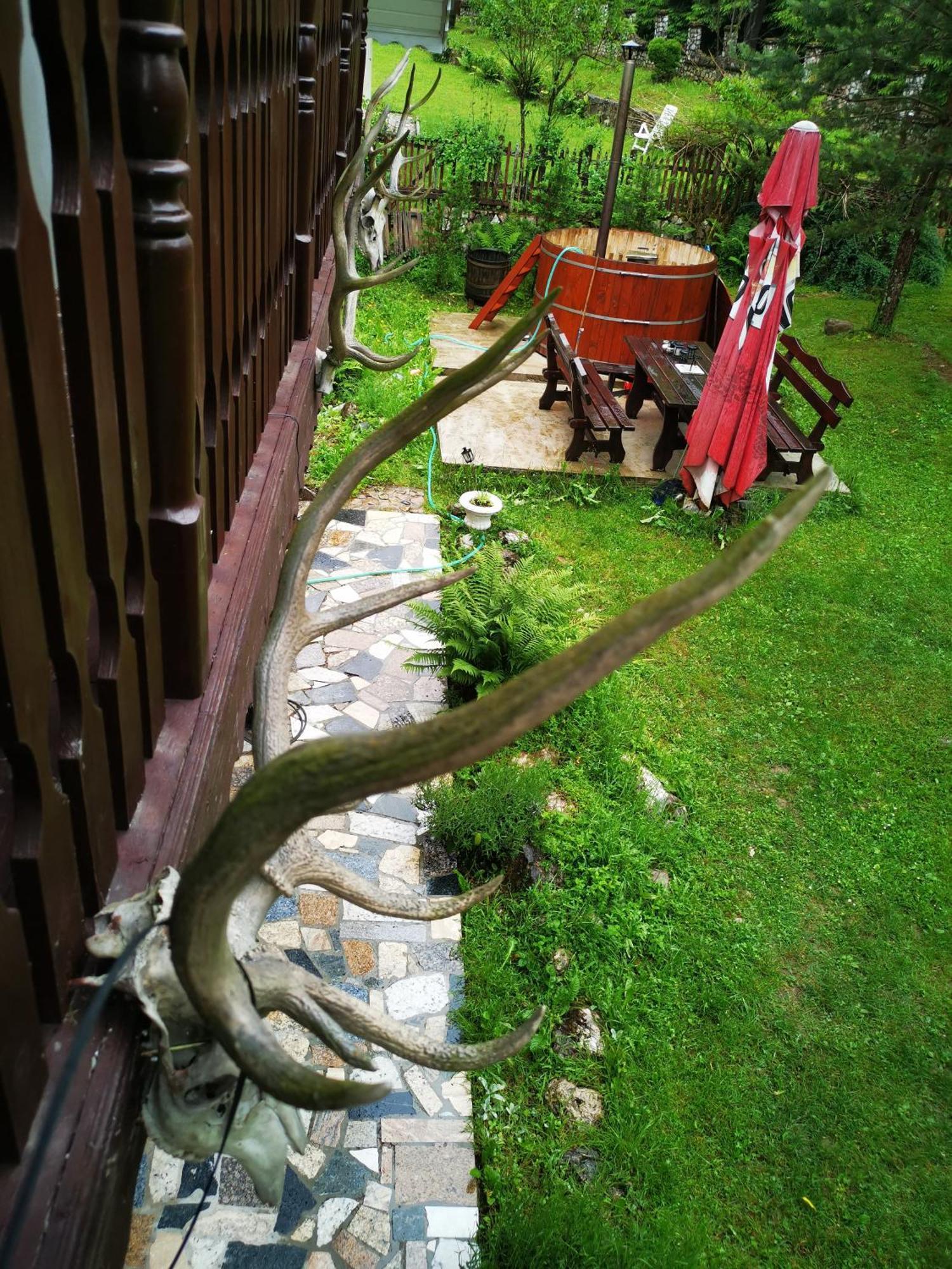 Cabana Valea Rea, Boga Boga  외부 사진